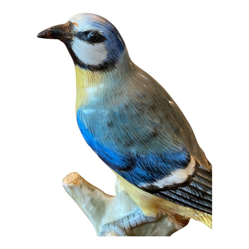 Antique 1700s - 1800s Meissen Eurasian Blue Tit Bird. Rare - Picture 3 of 13